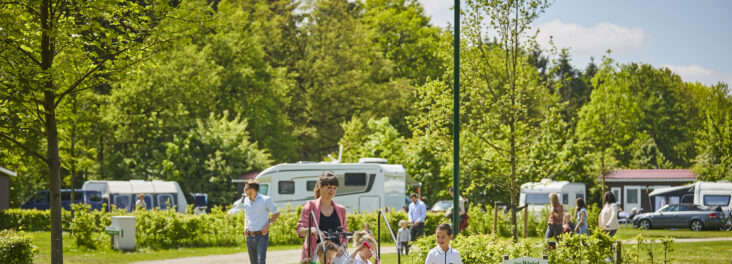 Vakantiepark HetWinkel - Kinderen in de kinderwagen